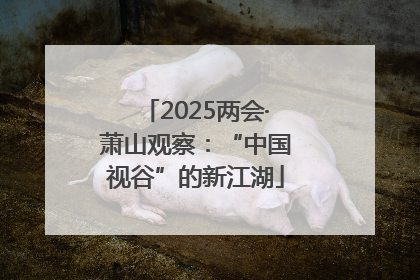 2025两会·萧山观察：“中国视谷”的新江湖