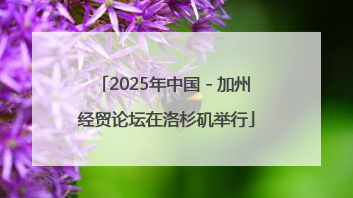 2025年中国－加州经贸论坛在洛杉矶举行