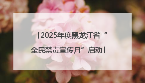 2025年度黑龙江省“全民禁毒宣传月”启动