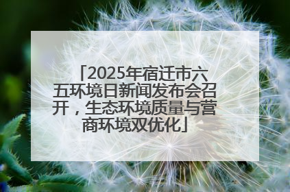 2025年宿迁市六五环境日新闻发布会召开，生态环境质量与营商环境双优化