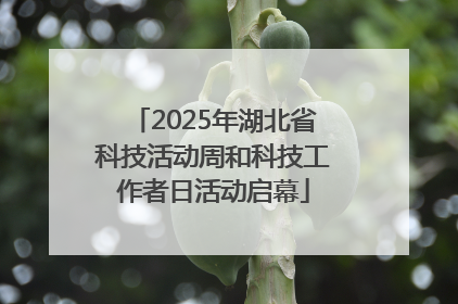 2025年湖北省科技活动周和科技工作者日活动启幕