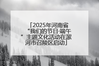 2025年河南省“我们的节日·端午”主题文化活动在漯河市召陵区启动