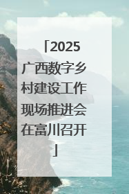 2025广西数字乡村建设工作现场推进会在富川召开