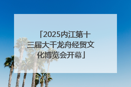 2025内江第十三届大千龙舟经贸文化博览会开幕