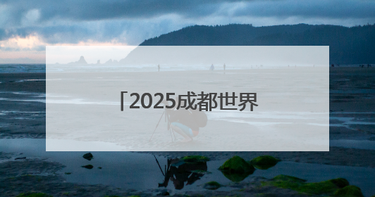 2025成都世界自行车日活动在成都举行 500余家庭畅骑迎世运