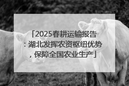 2025春耕运输报告：湖北发挥农资枢纽优势，保障全国农业生产