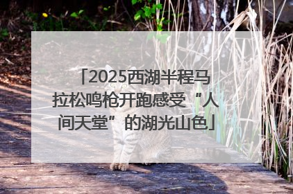 2025西湖半程马拉松鸣枪开跑感受“人间天堂”的湖光山色