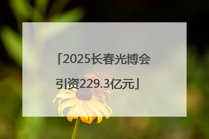 2025长春光博会引资229.3亿元