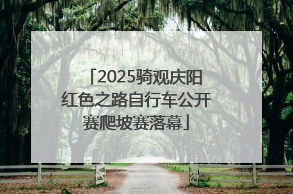 2025骑观庆阳红色之路自行车公开赛爬坡赛落幕