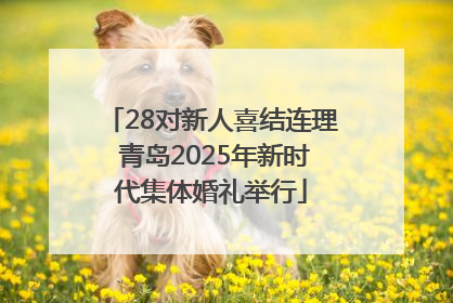 28对新人喜结连理 青岛2025年新时代集体婚礼举行