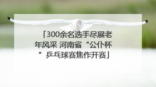 300余名选手尽展老年风采 河南省“公仆杯”乒乓球赛焦作开赛