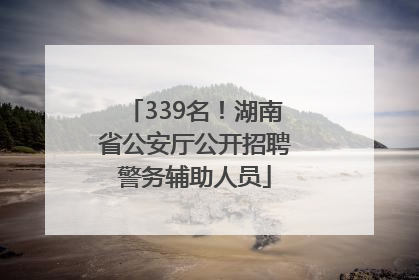 339名！湖南省公安厅公开招聘警务辅助人员