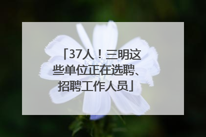 37人！三明这些单位正在选聘、招聘工作人员