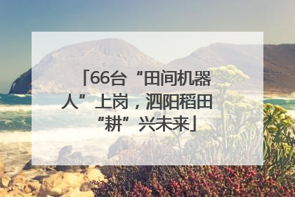 66台“田间机器人”上岗，泗阳稻田“耕”兴未来