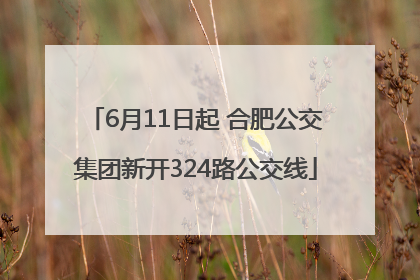 6月11日起 合肥公交集团新开324路公交线