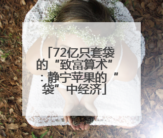 72亿只套袋的“致富算术”：静宁苹果的“袋”中经济