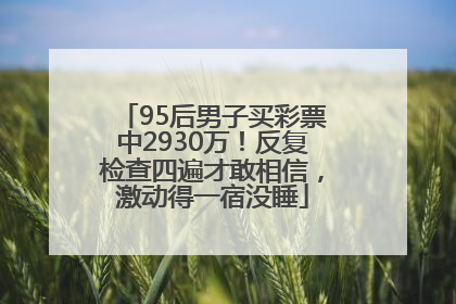 95后男子买彩票中2930万！反复检查四遍才敢相信，激动得一宿没睡