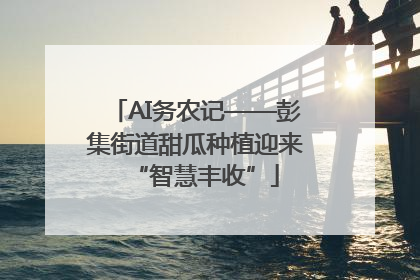 AI务农记——彭集街道甜瓜种植迎来“智慧丰收”