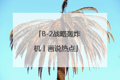 B-2战略轰炸机丨画说热点