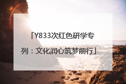 Y833次红色研学专列：文化润心筑梦前行