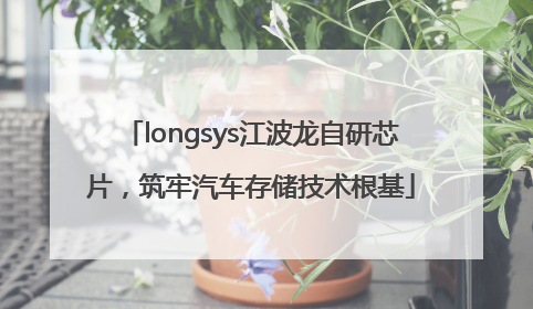 longsys江波龙自研芯片，筑牢汽车存储技术根基